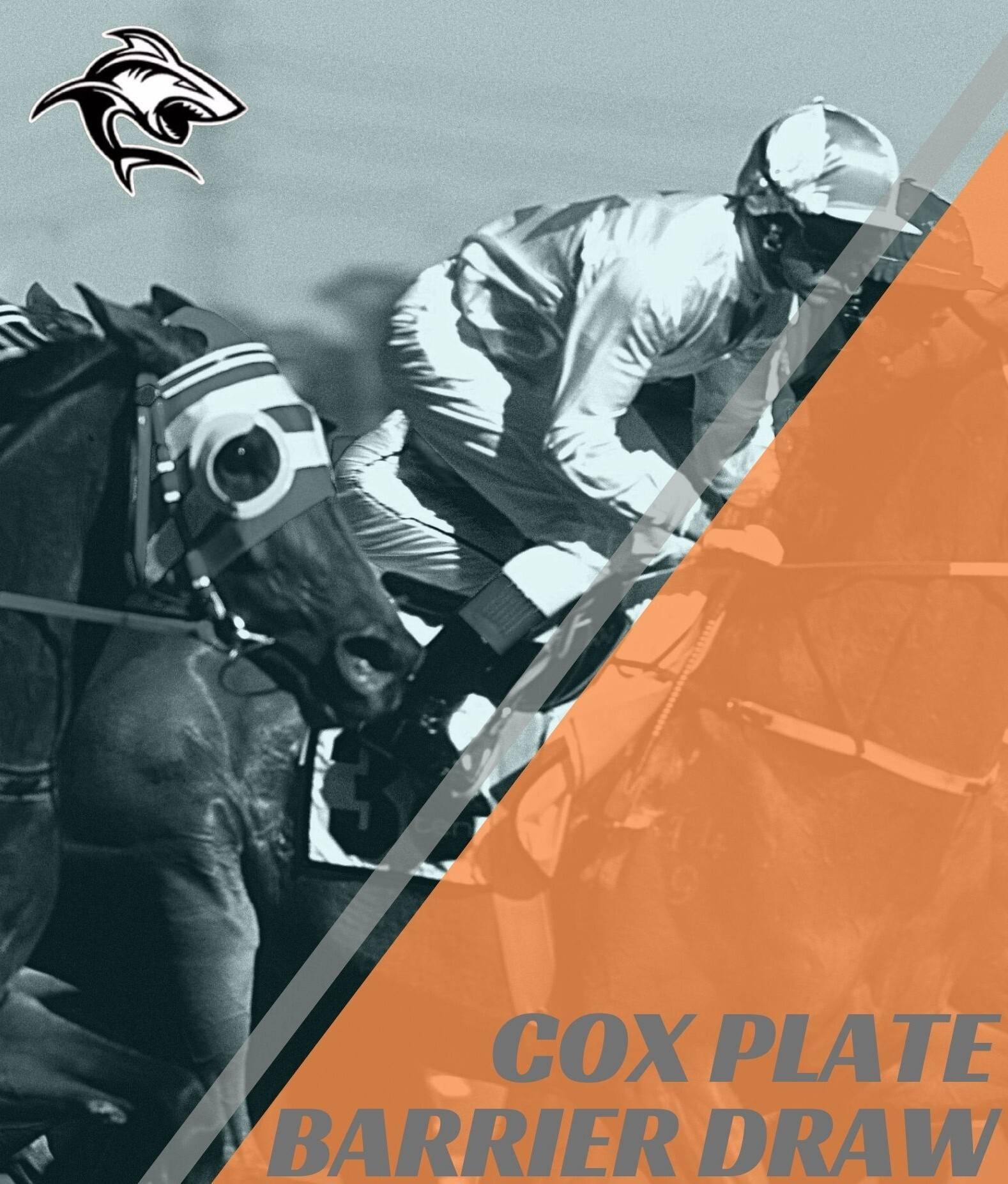 2021 Cox Plate Barrier Draw: Anamoe Draws Wide Again