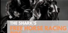 Free Horse Racing Tips - 13th Nov